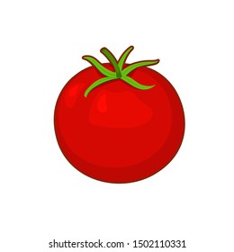 Vector illustration of cartoon red tomato on white background