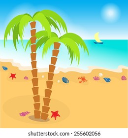 vector illustration cartoon seashore with icons of shells and palms - eps-10