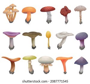 Vector illustration cartoon set of toxic mushrooms, poisonous fungus