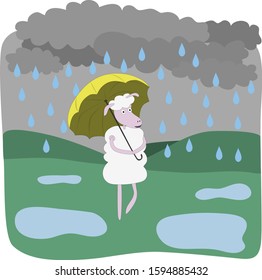 vector illustration of a cartoon sheep with an umbrella in the rain on a field