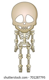 Vector illustration of Cartoon skeleton