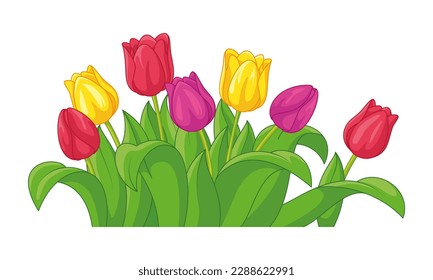 Vector illustration of cartoon spring tulips