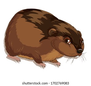 Vektorillustration