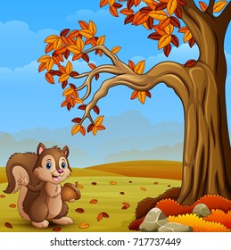 Vector illustration of Cartoon squirrel in the autumn forest