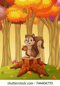 Vector illustration of Cartoon squirrel holding acorn in the forest