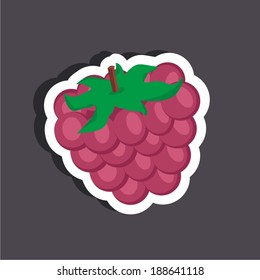 Vector illustration of a cartoon stickers of fruits - raspberries