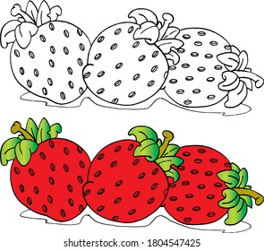 Dibujo de fresa de dibujos de ilustraciones de vectores