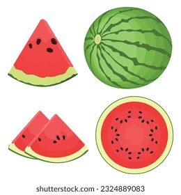 Vector illustration cartoon sttle whole and slice watermelon fruit. Green striped berry with red pulp and brown bones, cut and chopped fruit, half and sliced for summer fresh with green leaves