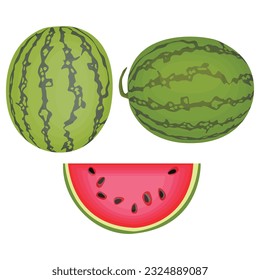 Vector illustration cartoon sttle whole and slice watermelon fruit. Green striped berry with red pulp and brown bones, cut and chopped fruit, half and sliced for summer fresh with green leaves
