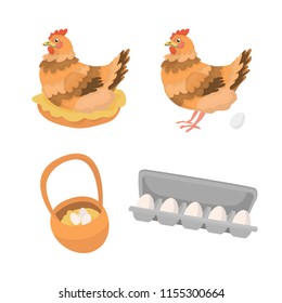 Vector illustration in cartoon style with hen sitting on a nest? hen standing with an egg, farm basket and opened supermarket box package with eggs