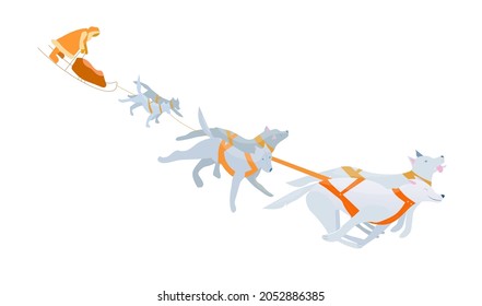 Vector illustration in cartoon style with husky sled dogs running along the track, winter sport, outdoor activities, cargo transportation