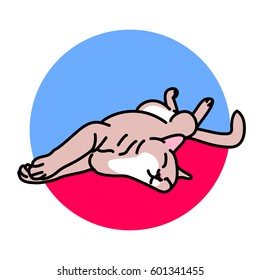 Vector illustration in cartoon style of red cat sleeping 