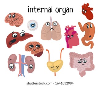 vector illustration, cartoon stylization of internal organs for medicine and children's encyclopedia about human health and device