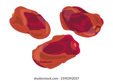 Vector illustration Cartoon Symbol logo Clip art dried dates or jujube Phoenix Dried Fruit.