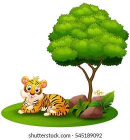 Vector illustration of Cartoon tiger lay down under a tree on a white background