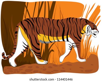 Vector illustration of cartoon tiger in orange brown tone in jungle.