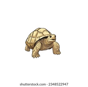 Vector illustration of cartoon turtle isolated on white background