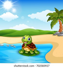 Vector illustration of Cartoon turtle on the beach