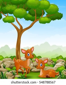 Vector illustration of Cartoon two deer in the jungle