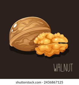 Vector illustration with cartoon walnut