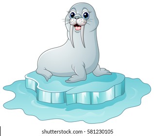 Vector illustration of Cartoon walrus on the on ice floe