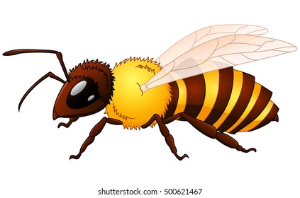 Vector illustration of Cartoon wasp 