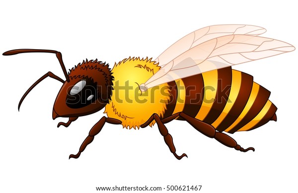 Vector Illustration Cartoon Wasp Stock Vector (Royalty Free) 500621467