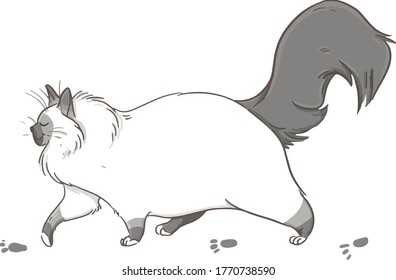 vector illustration of a cartoon white cat