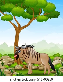 Vector illustration of Cartoon wildebeest mascot in the jungle