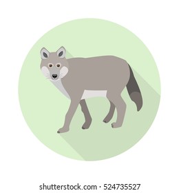 Vector illustration of cartoon wolf. Cute wolf in flat style isolated on background. Forest animal icon.