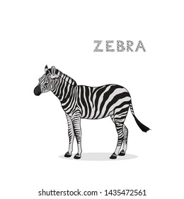Vector illustration, a cartoon zebra, isolated on a white background. Animal alphabet.