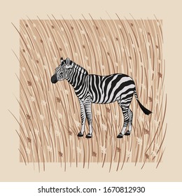 Vector illustration. A cartoon zebra on a square beige background with brown grass and flowers