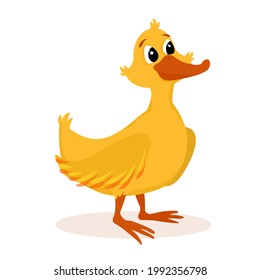 ilustración vectorial de un pato tipo caricatura aislado en un fondo blanco