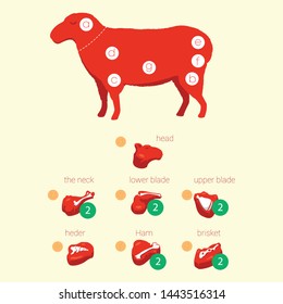 Vector illustration of carve lamb (meat)