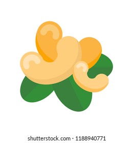 Vector Illustration of Cashew. Simple flat icon of a nut on a white background.