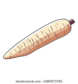 vector illustration of cassava in flat and minimalist style isolated on white background