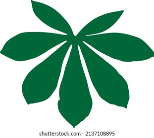Vektorgrafik von Cassava-Blättern auf weißem Hintergrund.