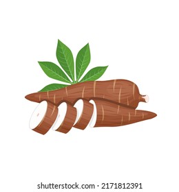 Vector illustration, cassava root (Manihot esculenta), also known as manioc, isolated on white background, as a banner, poster or national tapioca day template.