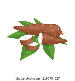 Vector illustration, cassava root (Manihot esculenta, also known as manioc) and leaves, isolated on white background, as a banner, poster or national tapioca day template.