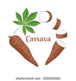 Vector illustration, cassava root (Manihot esculenta, also known as manioc) and leaves, isolated on white background, as a banner, poster or national tapioca day template.