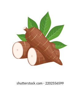 Vector illustration, cassava root (Manihot esculenta, also known as manioc) and leaves, isolated on white background, as a banner, poster or national tapioca day template.