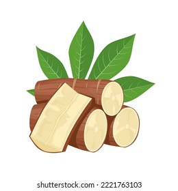 Vector illustration, cassava root (Manihot esculenta, also known as manioc) and leaves, isolated on white background, as a banner, poster or national tapioca day template.