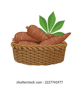 Vector illustration, cassava root or Manihot esculenta in a basket, also known as manioc, isolated on white background, as banner, poster or template for national tapioca day.