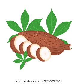 Vector illustration, cassava root (Manihot esculenta, also known as manioc) and leaves, isolated on white background.