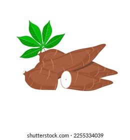 Vector illustration of Cassava root (Manihot esculenta, also known as manioc) and leaves. For national tapioca day