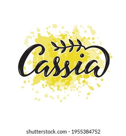 Vector illustration of cassia lettering for packages, product design, banners, stickers, spice shop price list and  decoration. Handwritten isolated word with leaves for web or print
