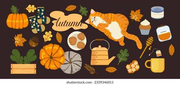 Vector illustration of a casual day with the fat orange cat sleeping Autumn forest, pumpkins, sweets, hot tea, and leaves. Illustration for poster, card, or background.