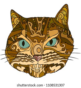 vector illustration of cat