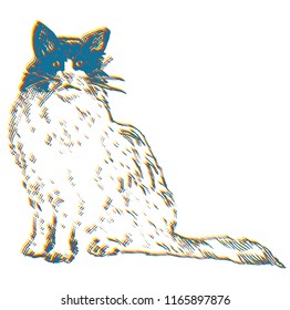 Vector illustration of a cat