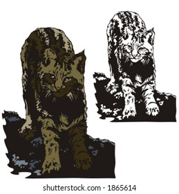 Vector illustration of a cat.